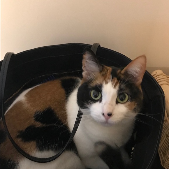 Meet your Posher, Kristin - Picture 1 of 1